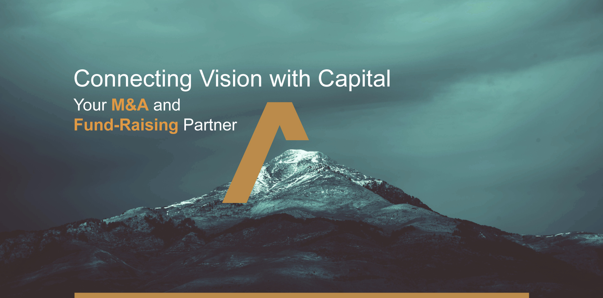 APTA ADVISORS